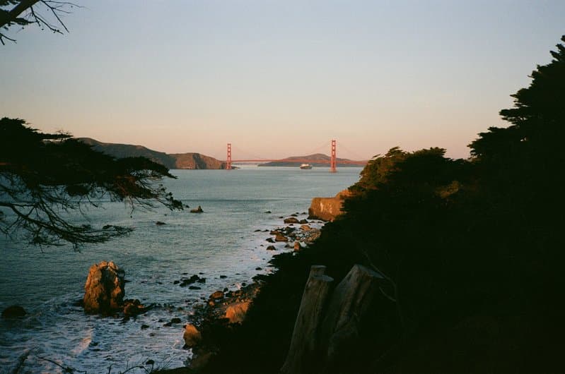 City By The Bay
